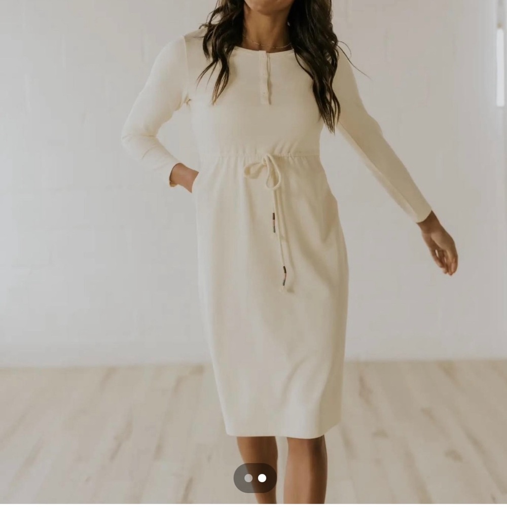 Rollee Nursing Dress- NWT